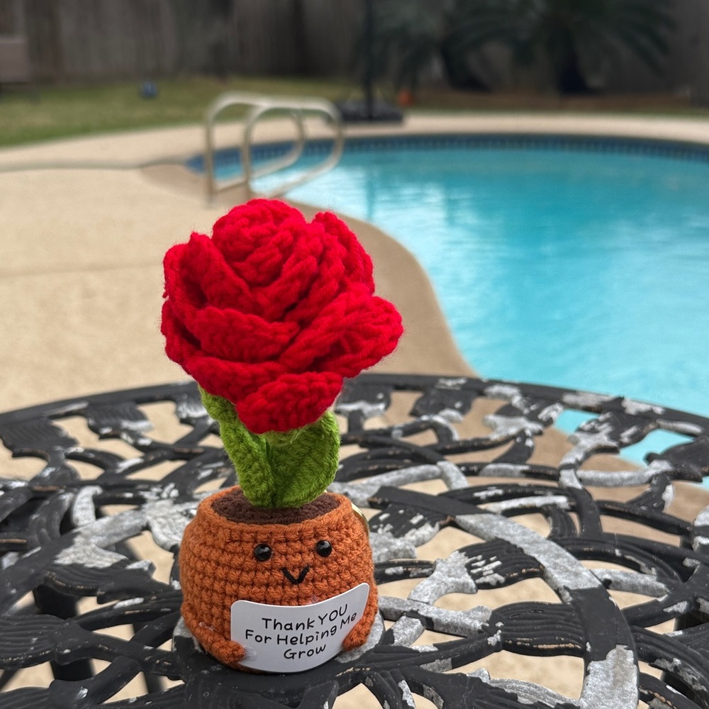 Charming Red Crochet Rose in Smiling Pot
